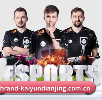 开云电竞 APP(Kaiyun Esport)